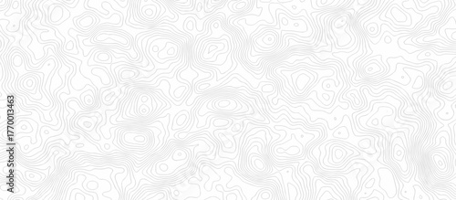 Abstract minimal The patter discovery vector topo map creative discovery White wave grid stripe line map topography texture. vector geographic contour mounted map background.	
