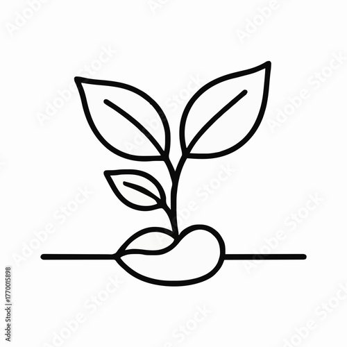 Simple line drawing of a sprouting plant with leaves and roots  