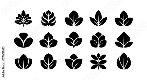 A diverse collection of fifteen black leaf silhouette icons for nature and ecofriendly logo design elements. EPS Editable