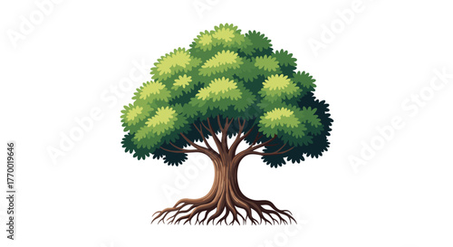 An illustration depicting a healthy and strong green tree with a robust trunk and visible roots, set against a clean white backdrop.