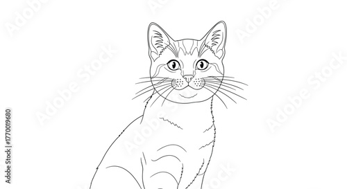 Black and white line drawing of a domestic shorthair cat with detailed facial features and whiskers looking forward.