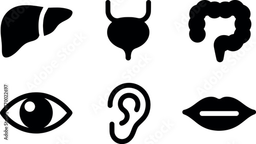Set of six black and white medical icons representing human organs and senses for healthcare vector