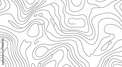 Contour Line Topography Map Seamless Pattern Topographical Elevation Lines Terrain Geographic Cartography Diagram for Environmental Studies