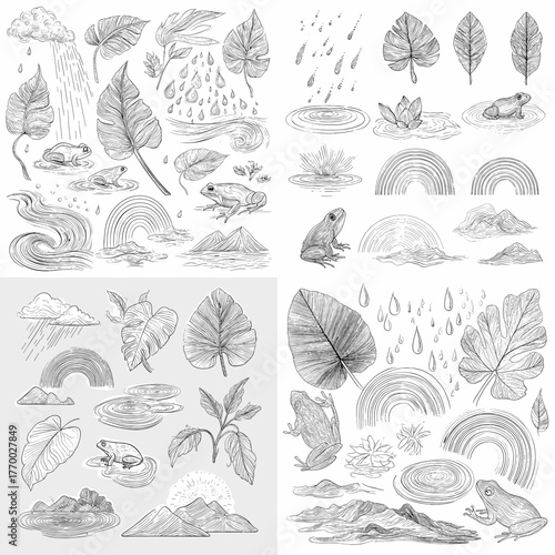 Hand-drawn tropical rainforest illustration with frogs, taro leaves, raindrops, and rainbows. Nature sketch representing jungle ecosystem and botanical life.