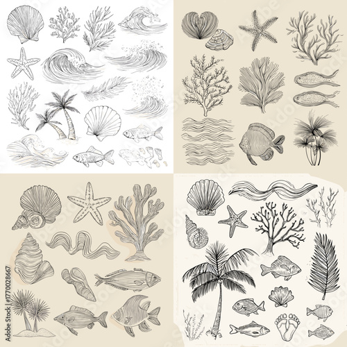 Vintage hand-drawn marine life illustration set featuring seashells, corals, fish, palm trees, and ocean waves. Perfect for nautical, tropical, or coastal design projects.