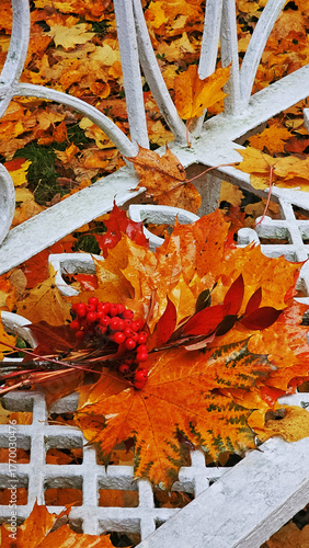 View of the city park in autumn