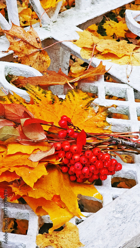 View of the city park in autumn