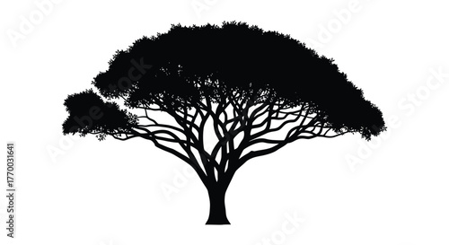 Majestic acacia tree silhouette against a white background showcasing intricate branching patterns and lush foliage