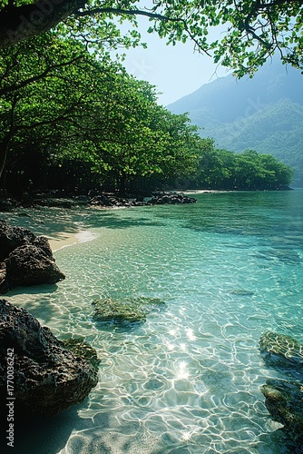Tropical Forests of Andaman Islands by Clear Beach