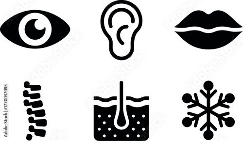 Set of six black and white icons representing human senses and body parts for medical and scientific use vector