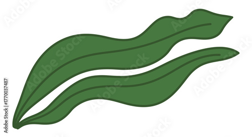 Illustration of two green seaweed leaves with wavy edges, isolated on white.
