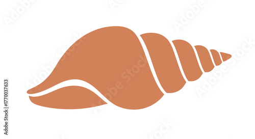 Illustration of a brown seashell with a spiral shape on a white background.