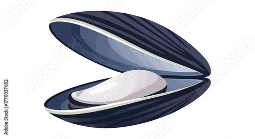An open dark blue mussel shell revealing its white interior and a single mussel inside.