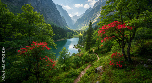 pink and white dahlia