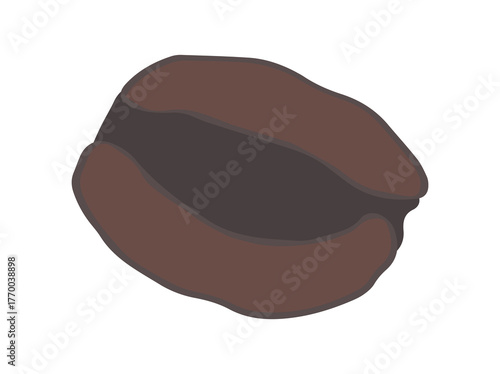 Black Olives for Oil Illustration
