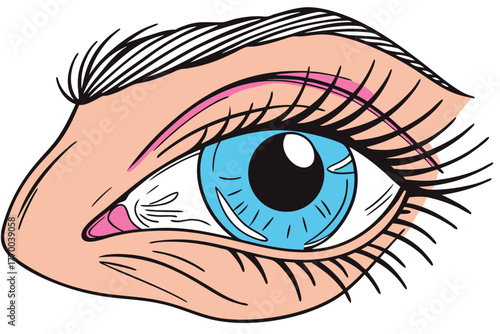 Close-up of a human eye with blue iris and long eyelashes pupil