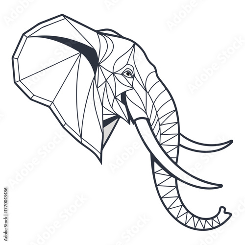 vector illustration of a spider