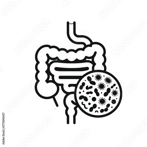 Illustration of the human intestines and gut microbiome
