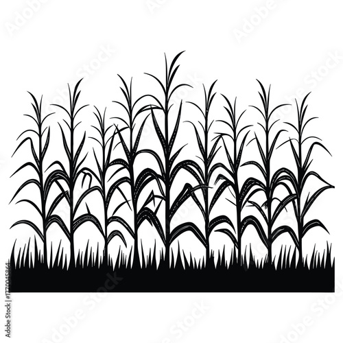 A black silhouette of a thanksgiving corn field