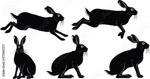 Black hare rabbit poses collection, running and sitting bunny silhouette set, wild animal illustration for nature design, pet art, vector drawing