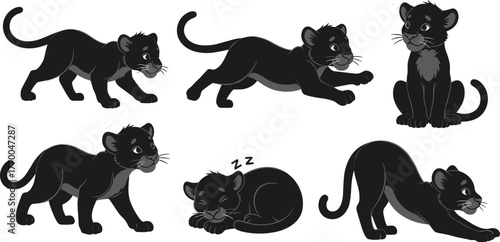 Cute black panther cub character set, playful baby wildcat poses, adorable jungle animal design collection, cartoon illustration for kids, vector artwork