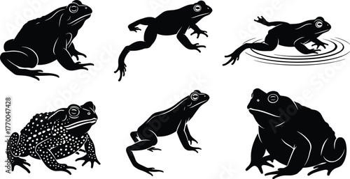 Frog and toad silhouette collection showing jumping and sitting poses, wildlife amphibian vector illustration, nature animal design, black and white minimal flat style