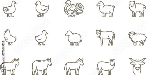 A collection of simple line art illustrations featuring various farm animals, perfect for educational resources and design projects.