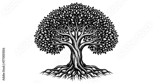 Detailed Hand Drawn Illustration of a Mighty Oak Tree with Extensive Roots and Lush Foliage