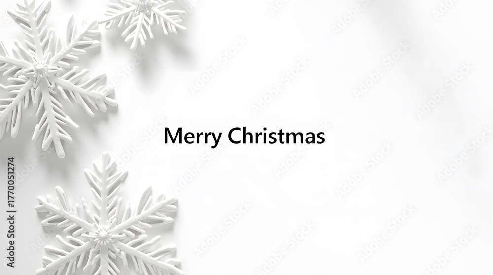 Fototapeta premium Theme Merry Christmas wishes with delicate snowflakes on a clean white background