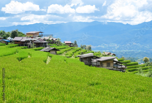  Views of Pa Bong Piang rice terraces, Chiang Mai, Thailand