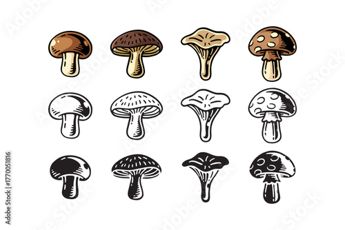 mushroom, toadstool, chanterelle, porcini, fungi icon set in colorful, outline and silhouette style for restaurant, cafes, cooking, culinary, foods, farm market, nature and garden