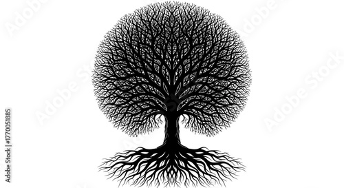 Elegant Black Silhouette of a Tree with Intricate Branches and Deep Roots, Symbolizing Growth