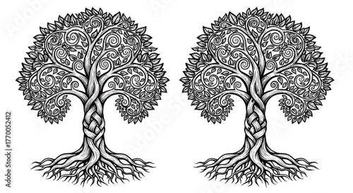 Intricate Celtic Tree of Life Illustration with Braided Trunk and Roots, a Symbol of Nature