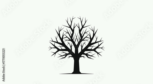 Stunning Silhouette of a Bare Deciduous Tree with Intricate Branches, Symbolizing Winter's Serenity