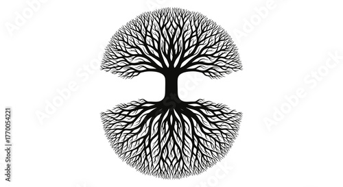 Symmetrical Black and White Tree of Life Illustration with Intricate Roots and Branches Forming