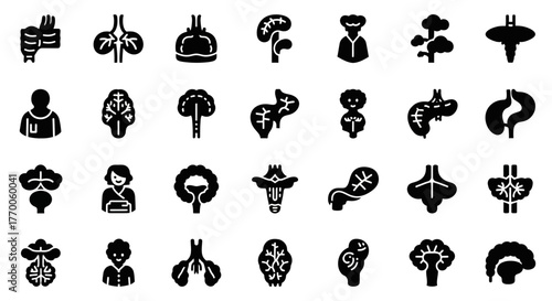 A creative set of black glyph icons representing human internal organs and anatomical systems for medical and biological design projects