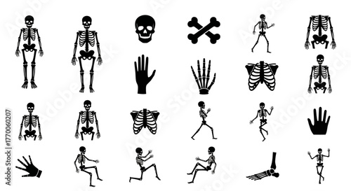 A versatile collection of black silhouette human skeleton icons, featuring various poses and anatomical bone parts like the skull and ribs