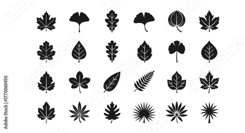 Set of black vector leaf icons showing various tree foliage shapes. Collection of monochrome plant silhouettes like maple and ginkgo
