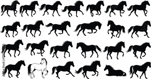 Horse silhouette vector collection, walking, trotting, galloping, rearing poses, black animal graphic, equine motion study, wildlife clipart, side view artwork