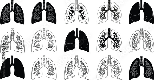 Human lung vector illustration, anatomical silhouette collection, bronchial tree design, respiratory system artwork, medical clipart, black graphic, biology education asset