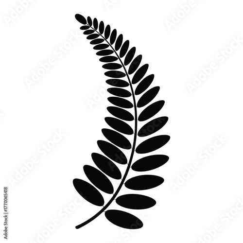 Wallpaper Mural Fern foliage Silhouette, Vector, Illustration Torontodigital.ca