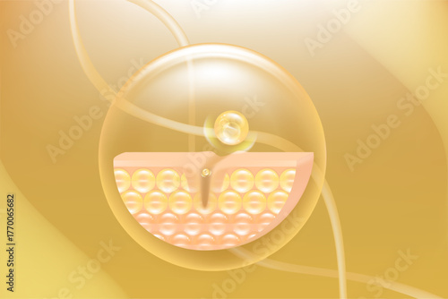 Hyaluronic acid and Niacinamide skin solutions ad, gold collagen serum drops into skin cell with cosmetic advertising background ready to use, illustration vector.