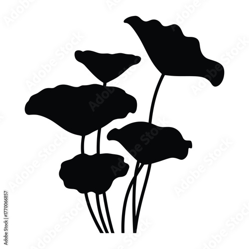Lotus foliage Silhouette, Vector, Illustration