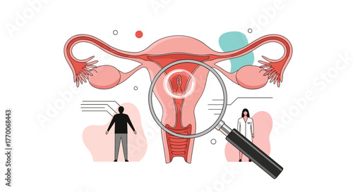Medical illustration of the female reproductive system, showcasing a magnified view of internal structures, representing gynecological health and examination.