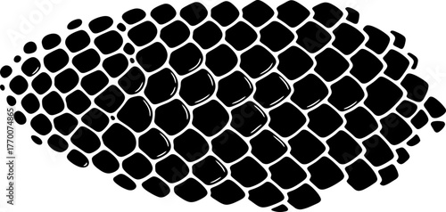 reptilian scales primal pattern of natures protective surface design