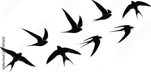 Swallow bird silhouette, flying bird vector, graceful wing motion, forked tail icon, nature flight design, minimal wildlife illustration
