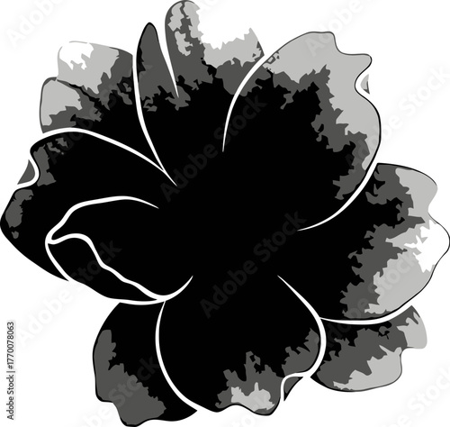 timeless bloom unveils minimalist grace, an artistic study in monochrome essence