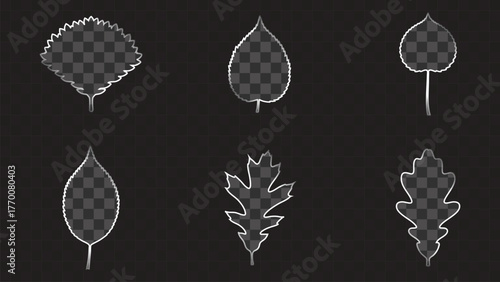 Modern White Wireframe Leaf Icon Set. Simple Oval and Serrated Plant Silhouettes, Glassy Outline