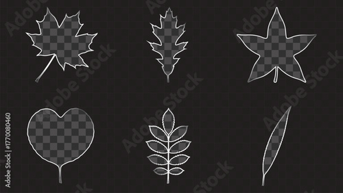 Geometric Glass Effect Vector Collection. Glass Style Compound and Exotic Plant Silhouettes