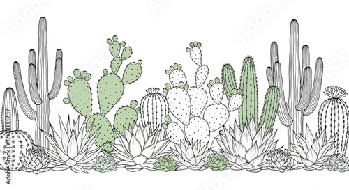 Modern Mixed Cactus & Succulent Border - Line Art with Pastel Green Accents